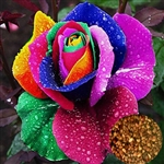 10pcs semillas coloridas flores de plantas Rose