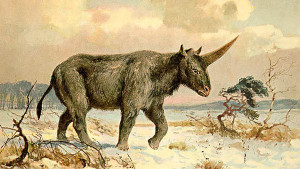 Hallan los restos de un verdadero unicornio que habría vivido entre los humanos.