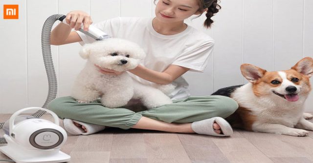 Xiaomi financia la recortadora de pelo multifuncional para mascotas Mother G2